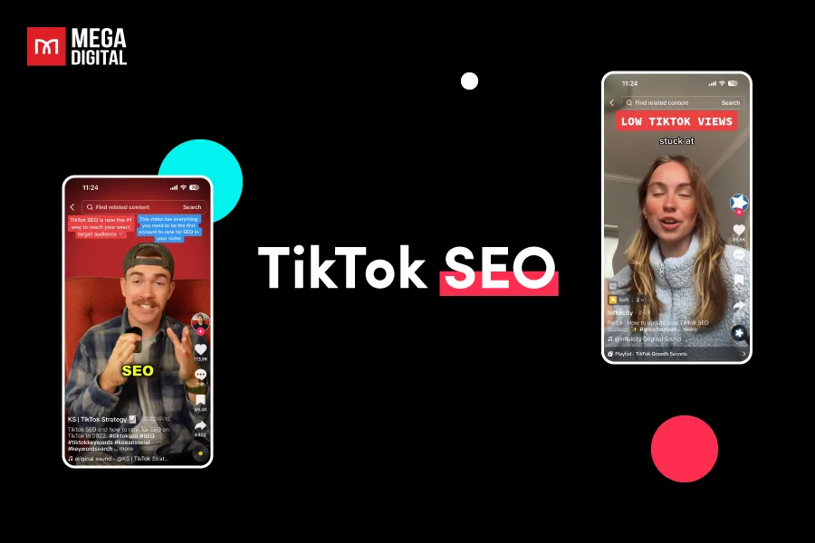 Optimizing TikTok Video Metadata and Captions